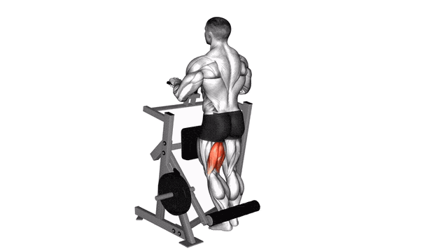 Animation Leg Curl unilateral (Machine)