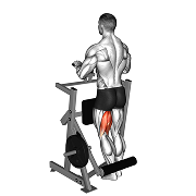 Leg Curl unilateral (Machine)
