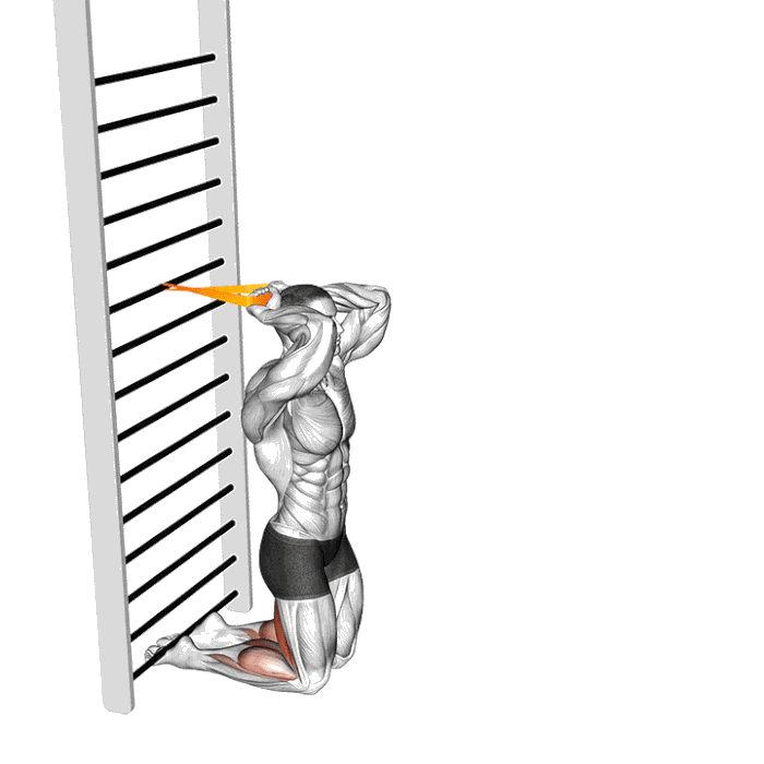 Animation Nordic hamstring curl (Élastique)