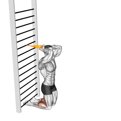 Nordic hamstring curl (Élastique)