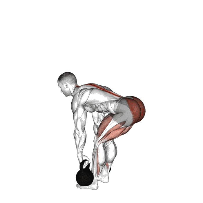 Animation Soulevé de terre roumain (Kettlebell)