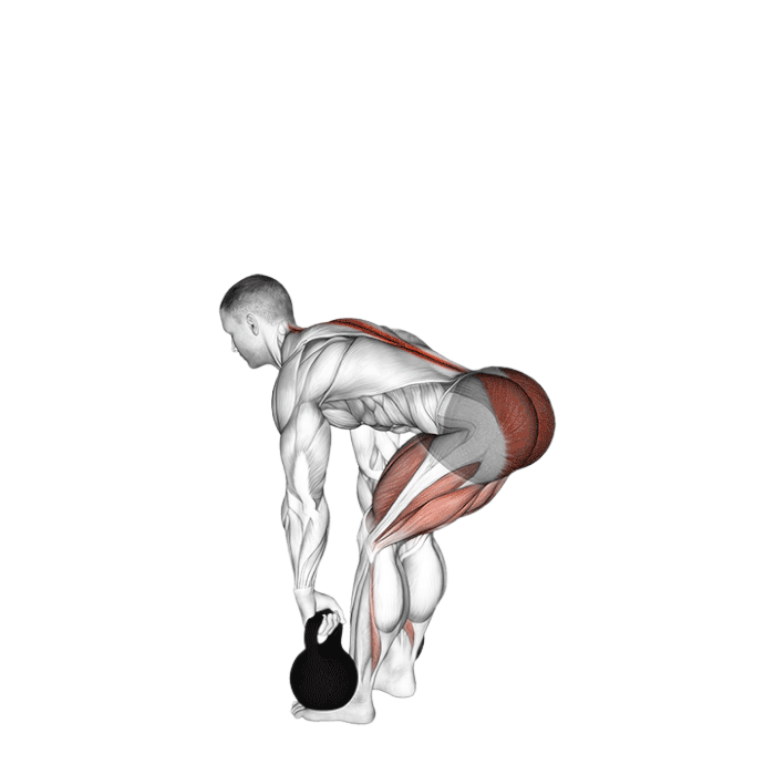 Soulevé de terre roumain (Kettlebell)