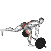 Souleve de terre roumain unilateral (Barre)