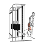 Tirage entre les jambes (Poulie)