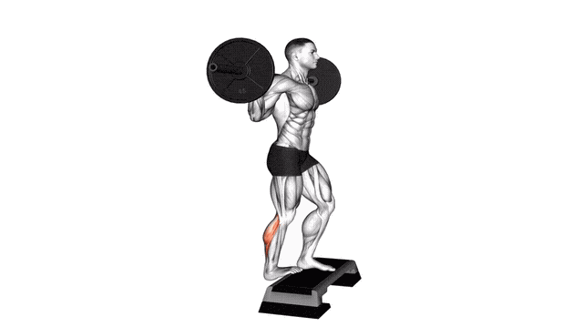 Animation Mollet debout unilateral (Barre)