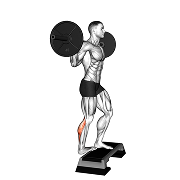 Mollet debout unilateral (Barre)