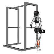 Mollet debout unilateral (Halteres)