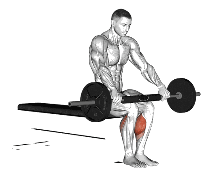 Animation Mollets assis (Barre)