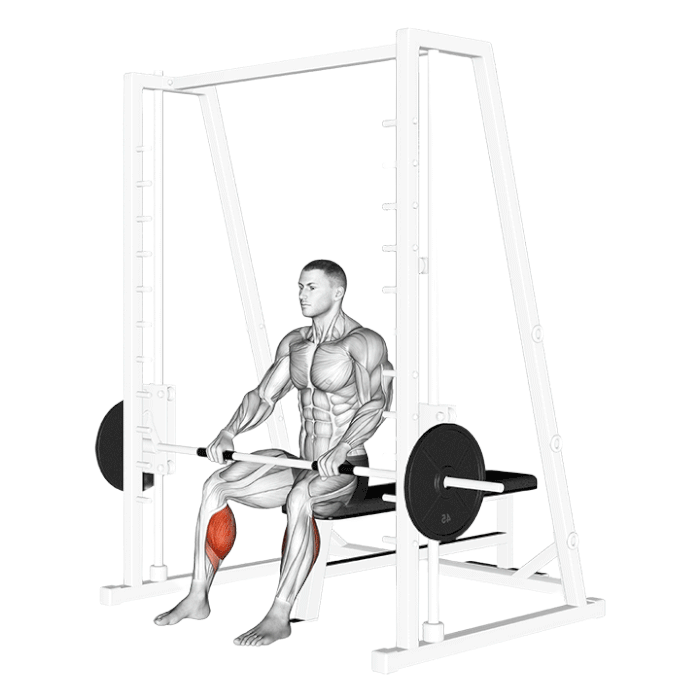 Mollets assis (Smith machine)