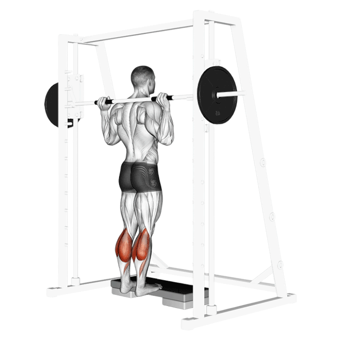 Mollets debout (Smith machine)