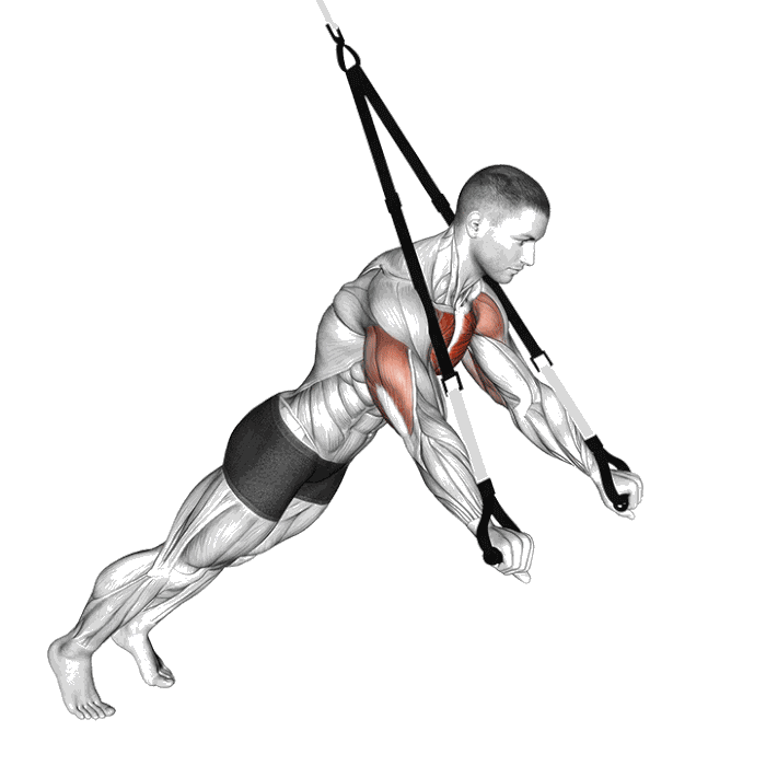 Animation Chest press avec sangles de suspension