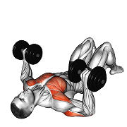 Developpe au sol (Halteres)