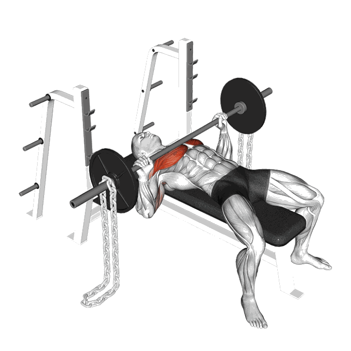 Animation Développé couché avec chaînes