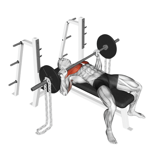 Développé couché avec chaînes