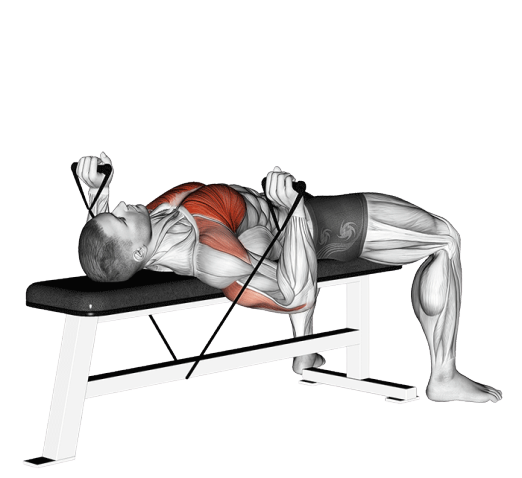 Développé couché (Élastique)