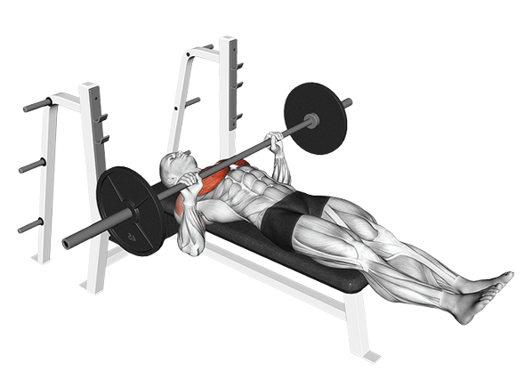 Développé couché pieds leves (Barre)