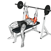 Developpe couche prise serre (Barre)