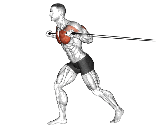 Animation Développé debout (Élastique)