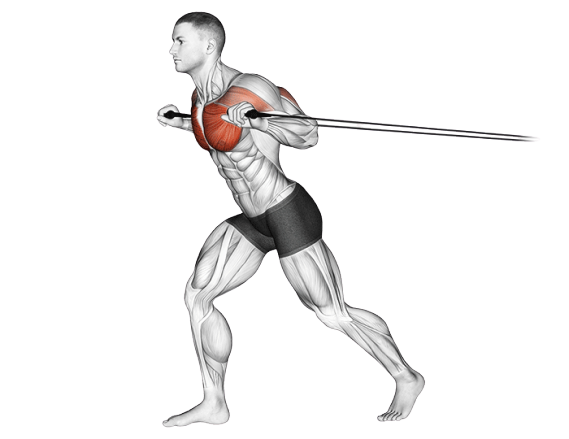 Développé debout (Élastique)