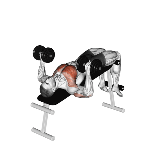 Développé décliné (Haltère)