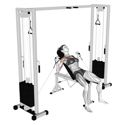 Développé incliné (Poulie)