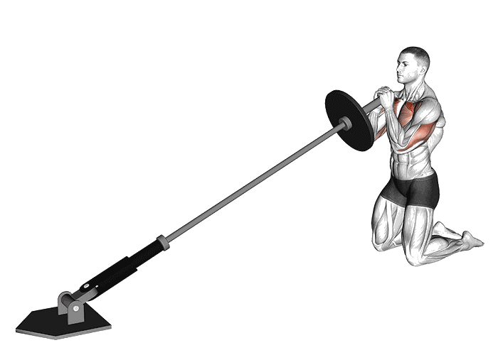 Animation Développé landmine à genoux