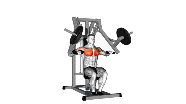 Animation Developpe pectoraux iso-lateral (Machine)