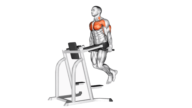 Animation Dips pectoraux