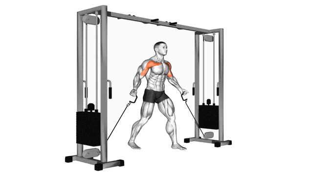 Animation Ecarte croise poulie basse