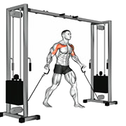 Ecarte croise poulie basse