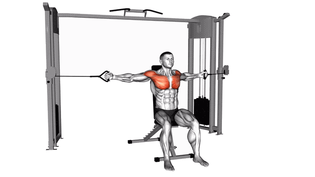 Animation Ecarte pectoraux assis (Poulie)