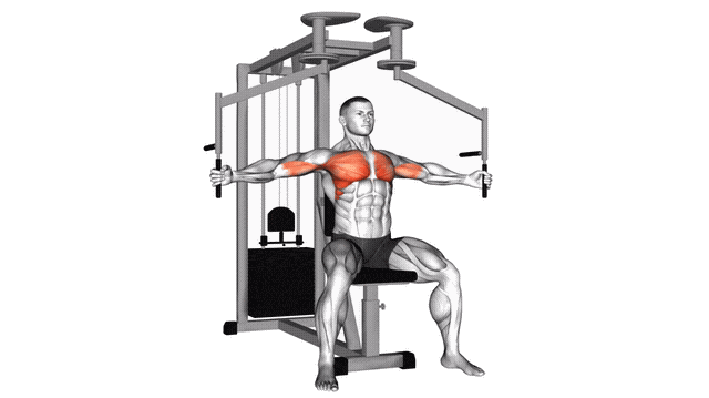 Animation Ecarte pectoraux (Machine)