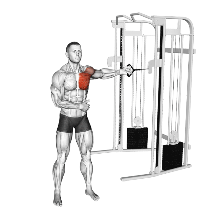 Ecarté unilatéral à la poulie