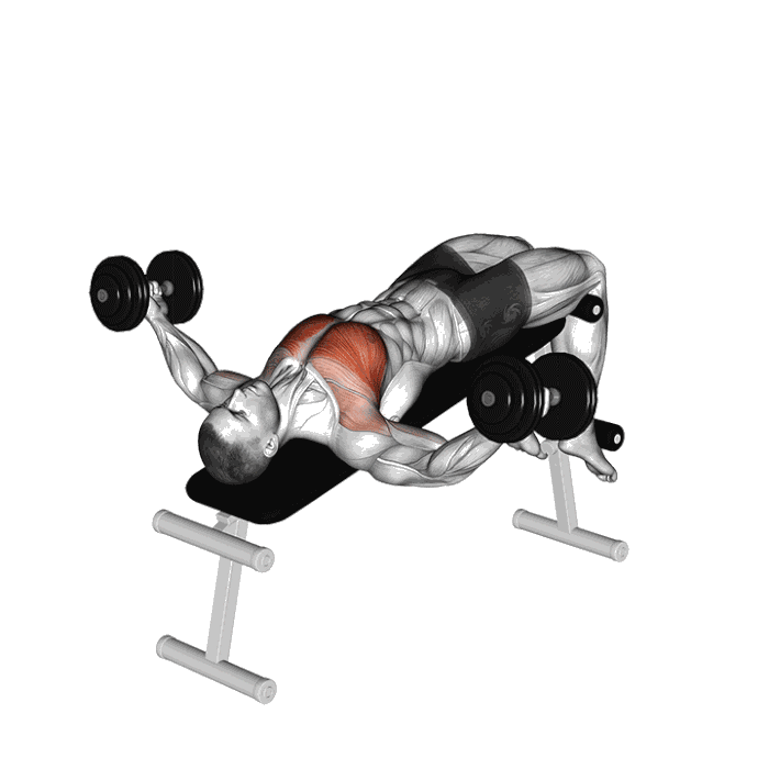 Animation Écartés décliné (Haltères)