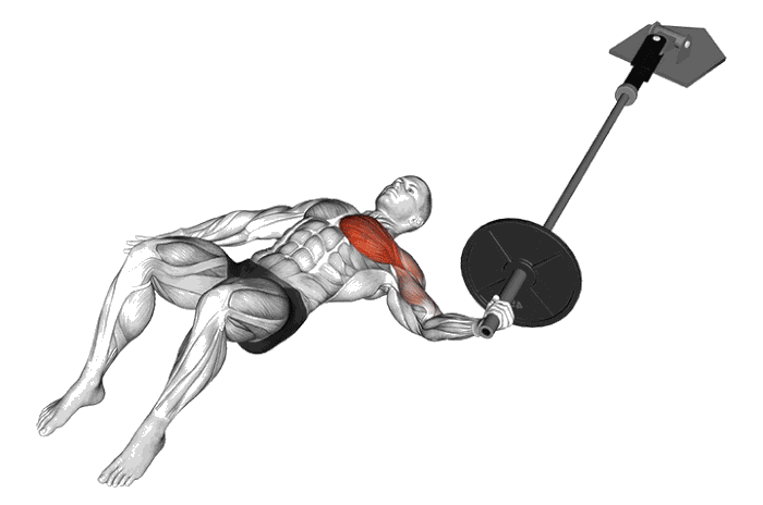 Animation Écartés unilatéraux à la landmine