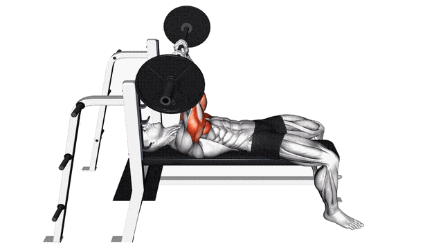 Animation JM press (Barre)