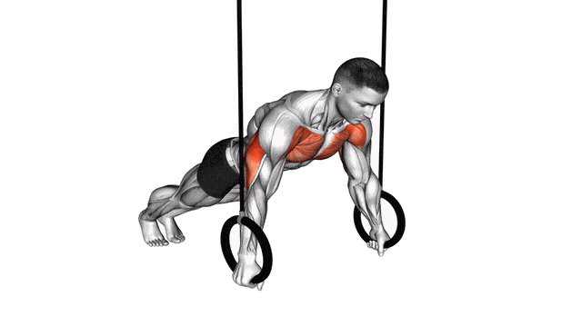 Animation Pompe avec anneaux