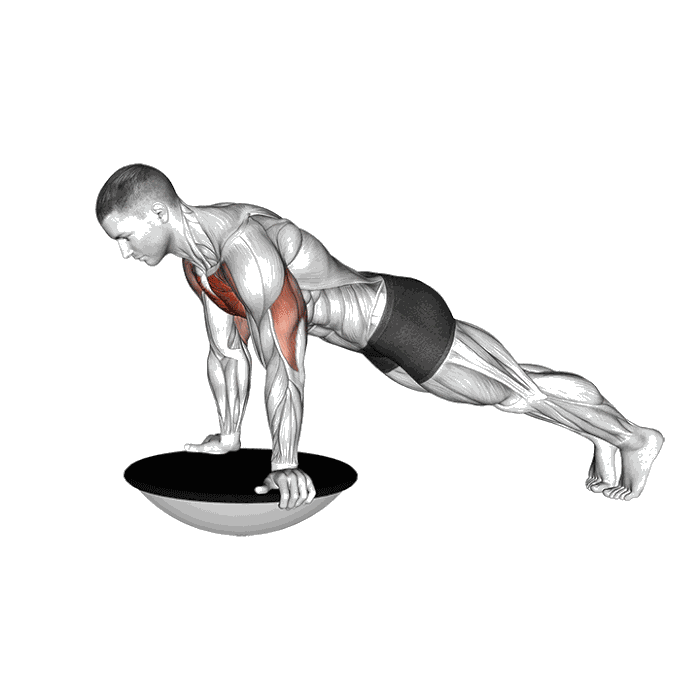 Animation Pompe avec bosu ball