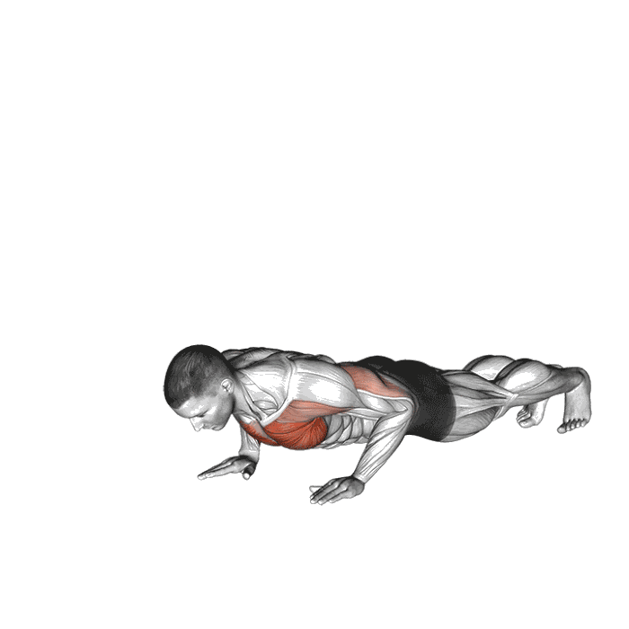 Animation Pompe avec élévation des bras