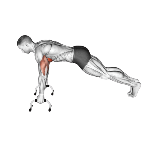 Pompe avec poignées ergonomiques