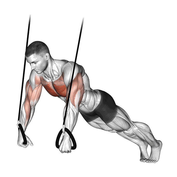 Animation Pompe avec sangle de musculation