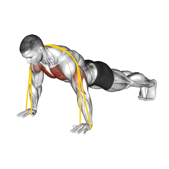 Animation Pompe contre élastique