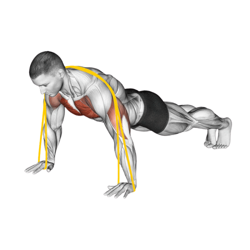 Pompe contre élastique