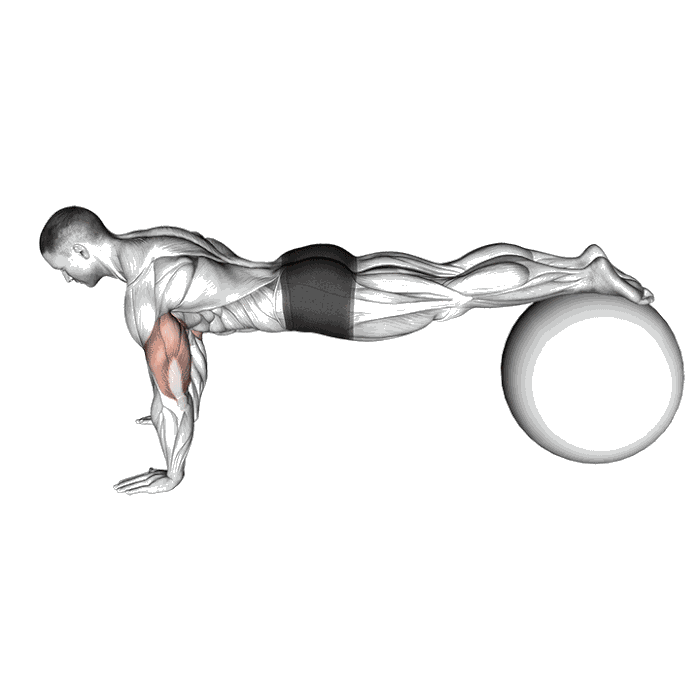 Animation Pompe déclinée sur ballon de gym