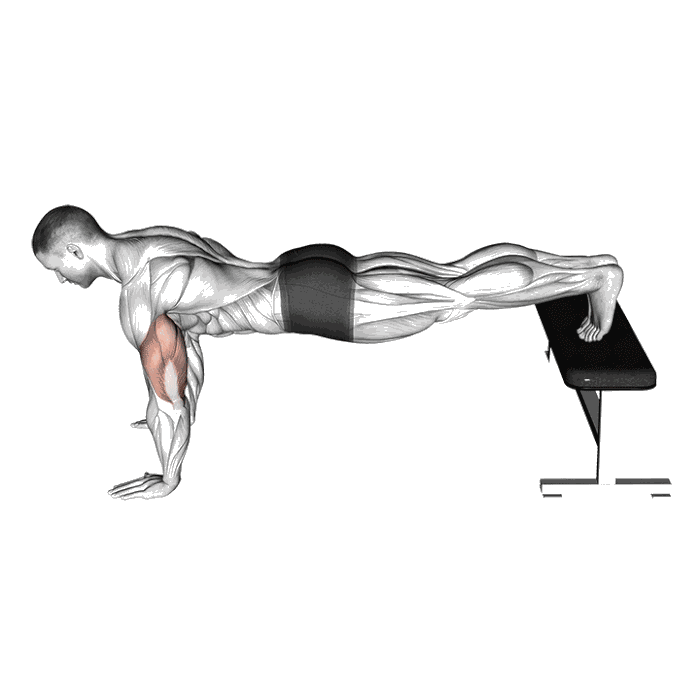 Animation Pompe déclinée