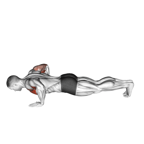 Pompe explosive double tape pectoraux