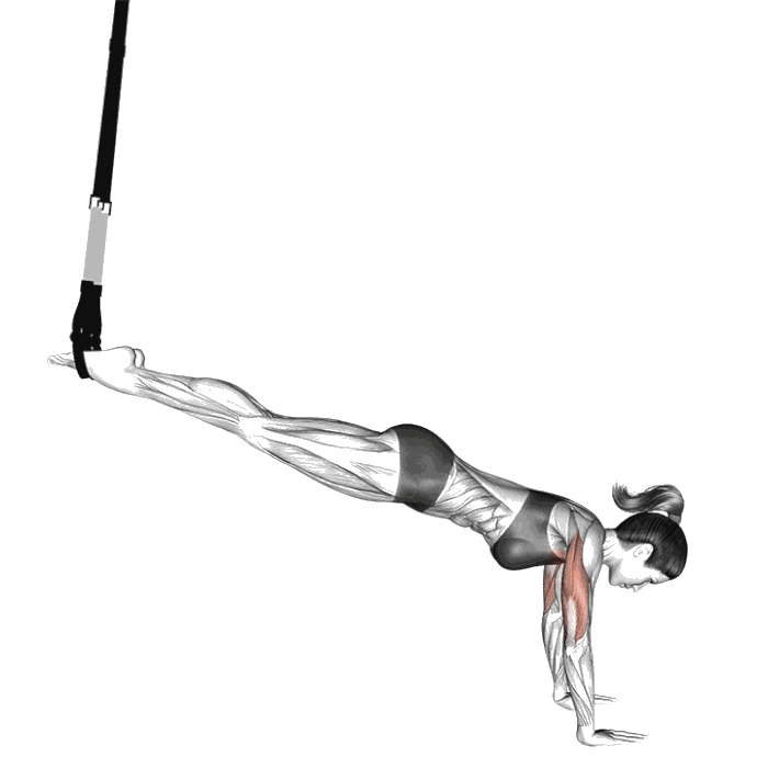 Animation Pompe inclinée avec sangles de suspension
