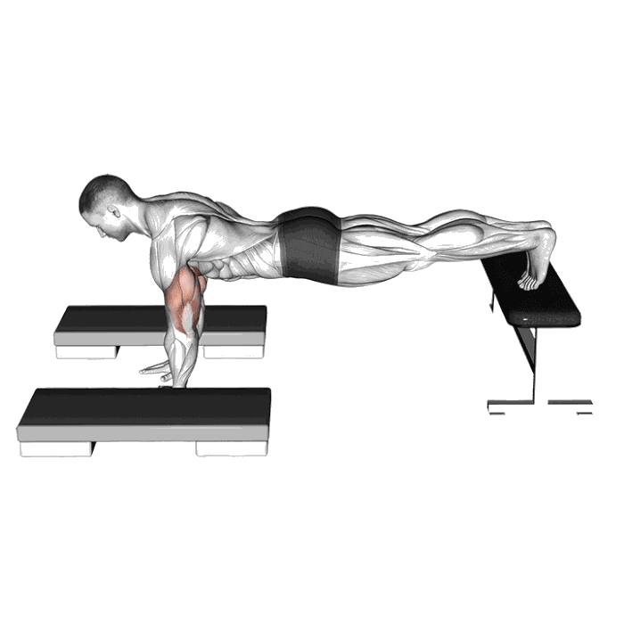 Animation Pompe inclinée avec saut sur steps