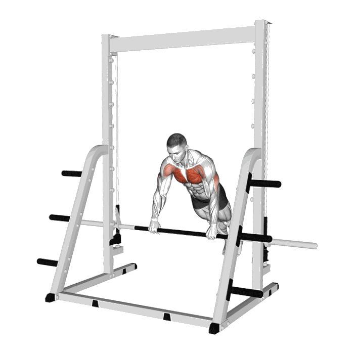 Animation Pompe inclinée sur Smith Machine