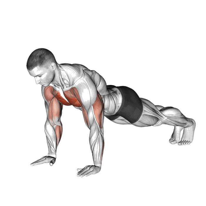 Animation Pompe pliométrique sautée